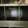 thumbnail-Werkstatt/ Klempnereinrichtung aus dem Hafenumfeld-4