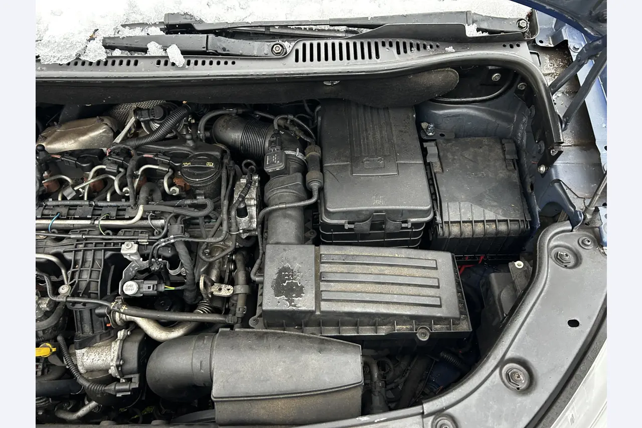 gepflegte Fahrzeuge aus dem Hafenumfeld-19