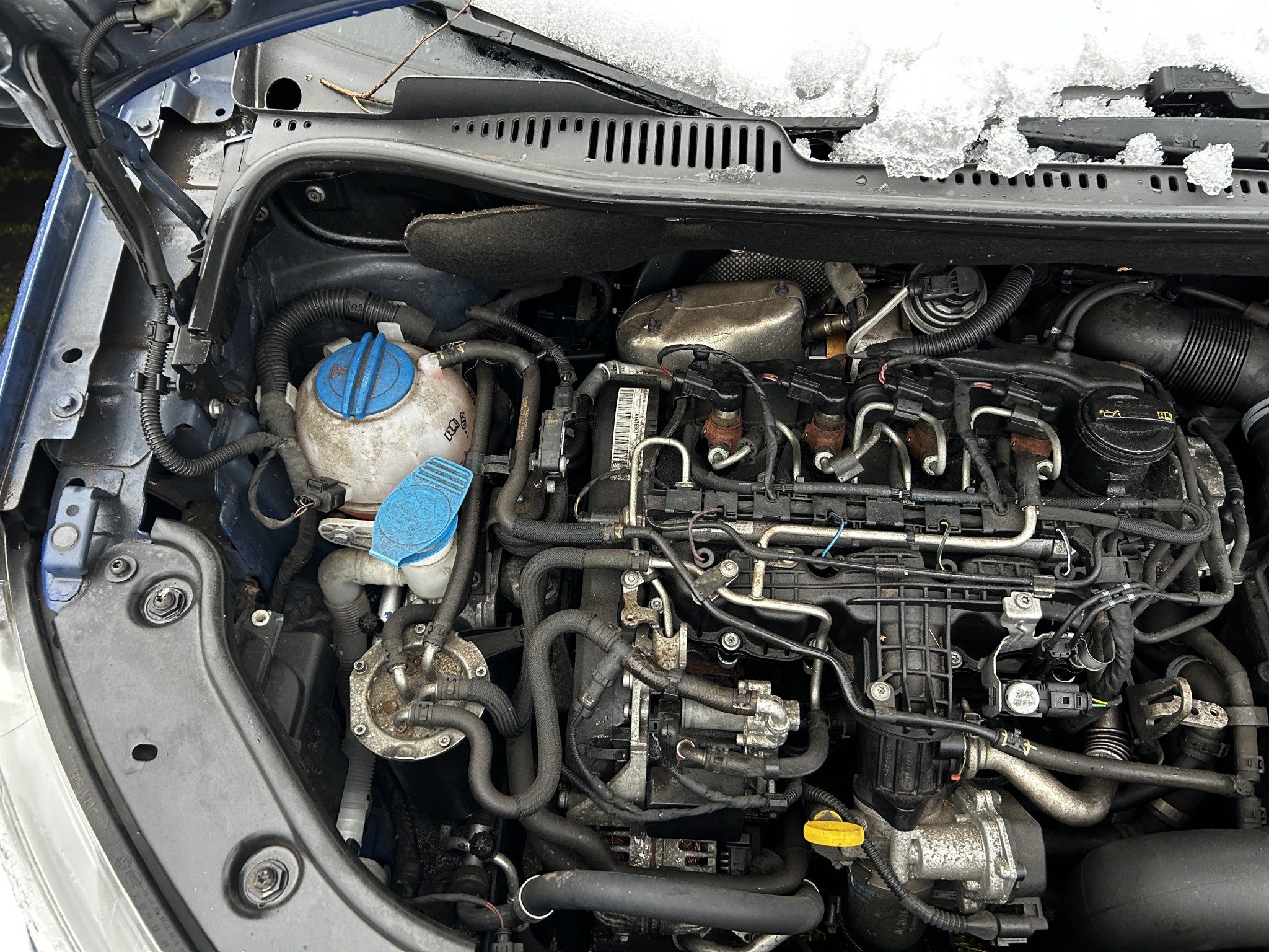 gepflegte Fahrzeuge aus dem Hafenumfeld-20