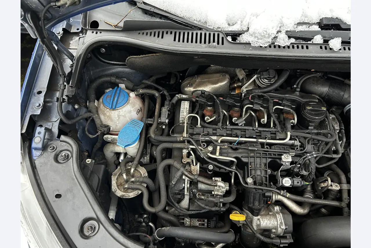 gepflegte Fahrzeuge aus dem Hafenumfeld-20