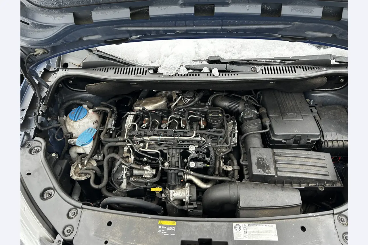 gepflegte Fahrzeuge aus dem Hafenumfeld-21