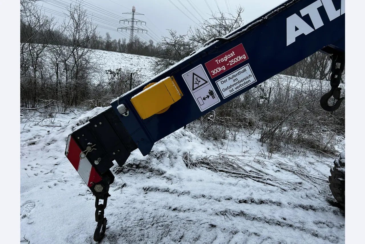 Vehículos en buen estado de la zona portuaria-2