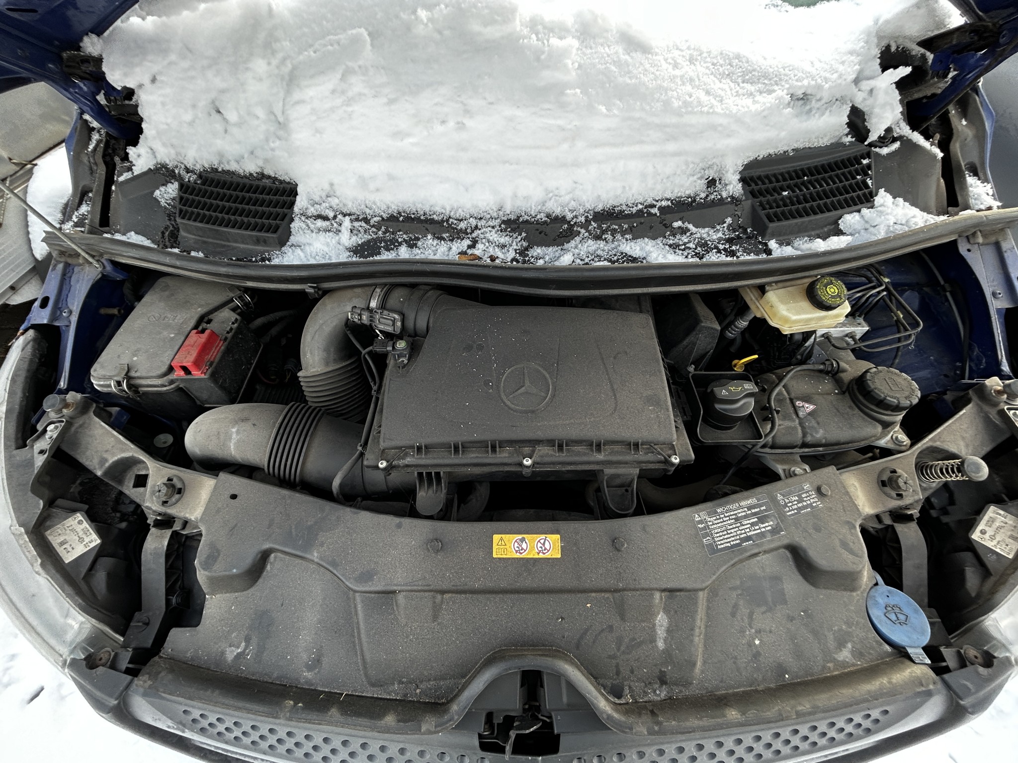 gepflegte Behördenfahrzeuge aus dem Hafenumfeld-15