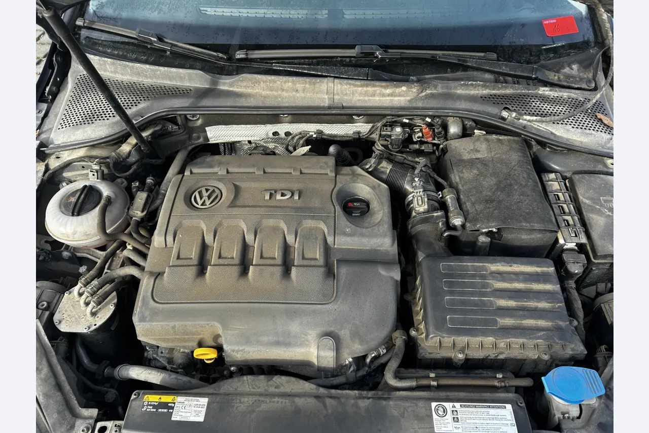 gepflegte Behördenfahrzeuge aus dem Hafenumfeld-14