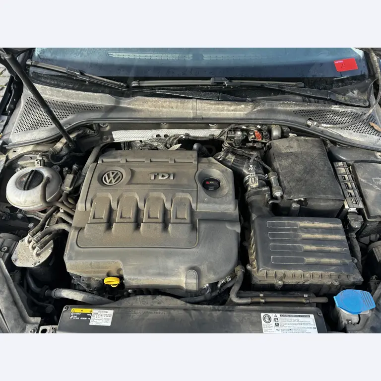 gepflegte Behördenfahrzeuge aus dem Hafenumfeld-14