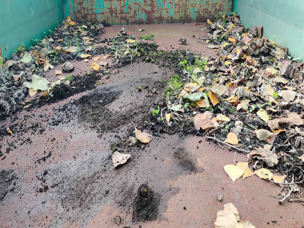 Gepflegte Holzbearbeitungsmaschinen, Absauganlagen und Handarbeitsgeräte einer Holzwerkstatt/ Hafen-10