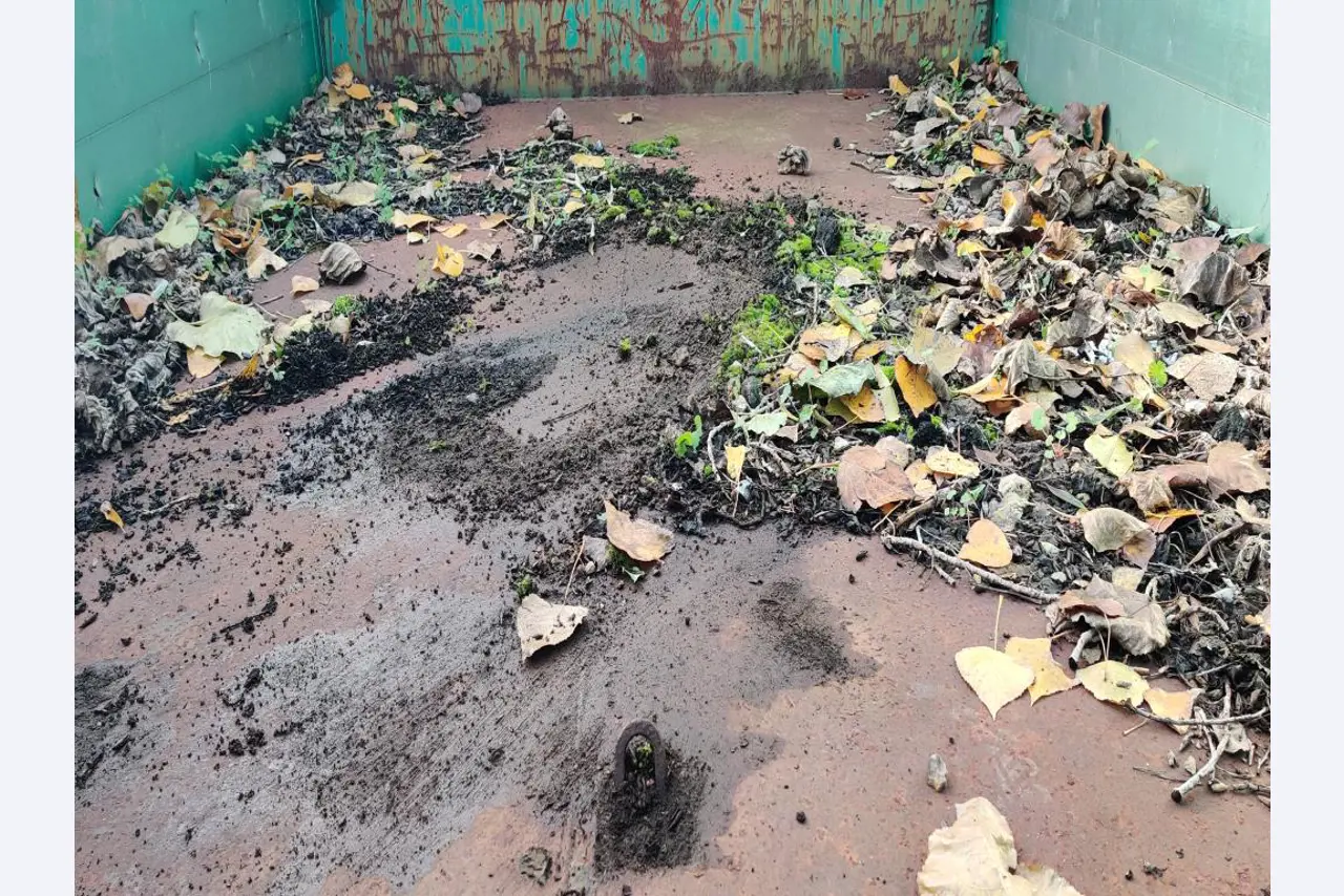 Máquinas para trabalhar madeira, sistemas de extração e ferramentas manuais em bom estado de conservação numa oficina de madeira/ porto-10