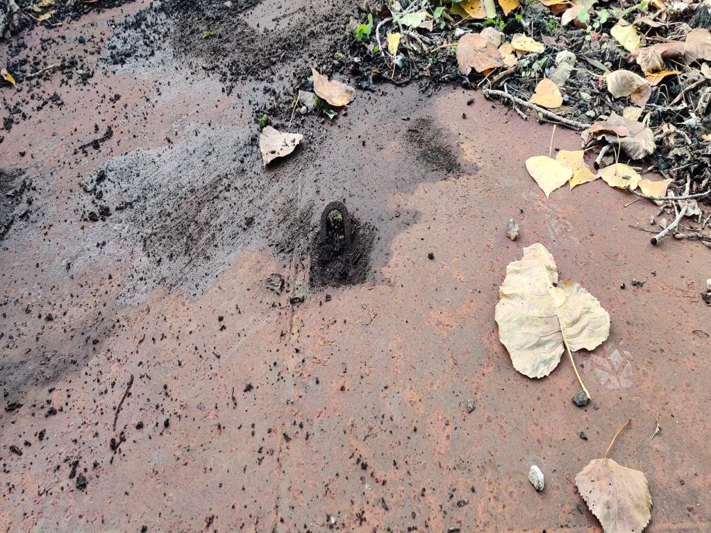 Gepflegte Holzbearbeitungsmaschinen, Absauganlagen und Handarbeitsgeräte einer Holzwerkstatt/ Hafen-11