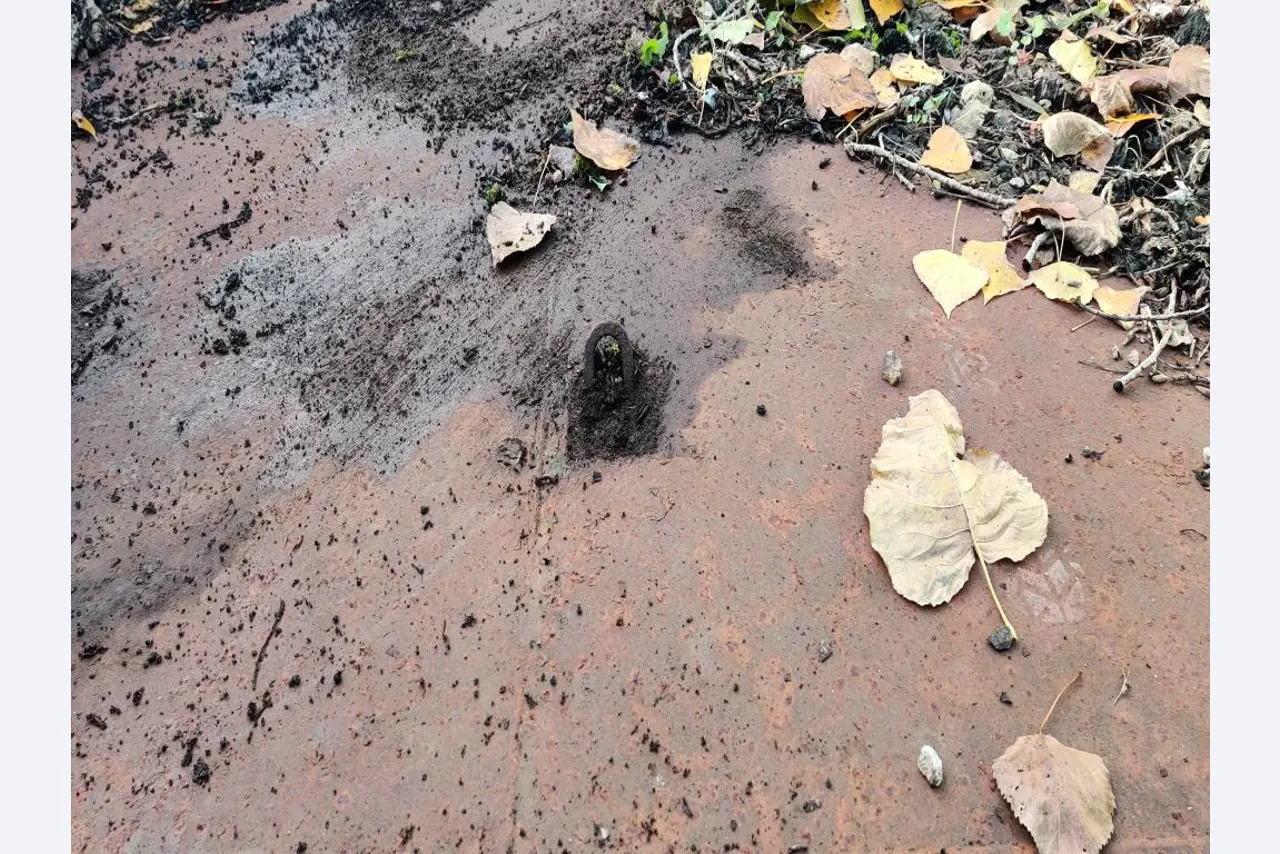 Máquinas para trabalhar madeira, sistemas de extração e ferramentas manuais em bom estado de conservação numa oficina de madeira/ porto-11