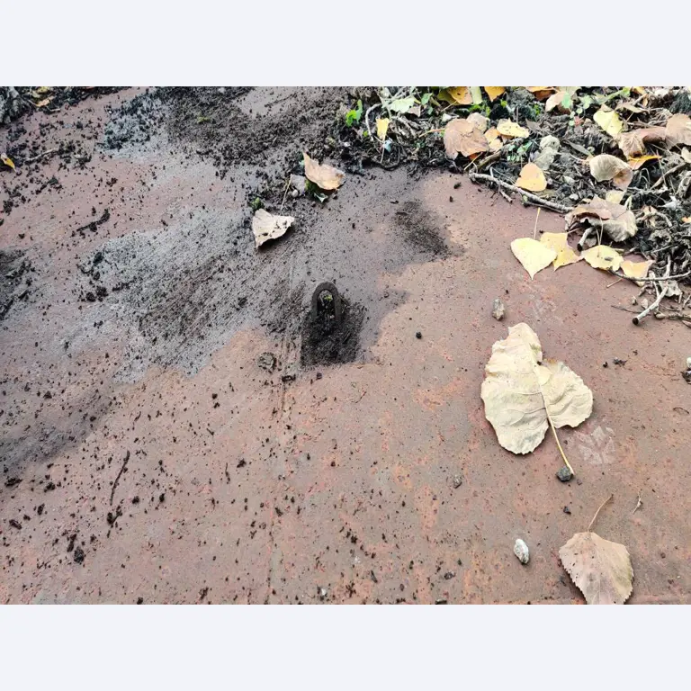 Máquinas para trabalhar madeira, sistemas de extração e ferramentas manuais em bom estado de conservação numa oficina de madeira/ porto-11