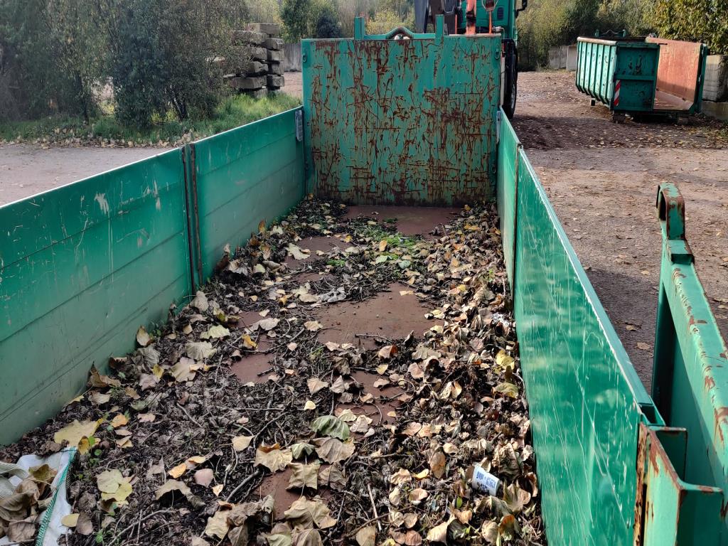 Gepflegte Holzbearbeitungsmaschinen, Absauganlagen und Handarbeitsgeräte einer Holzwerkstatt/ Hafen-5
