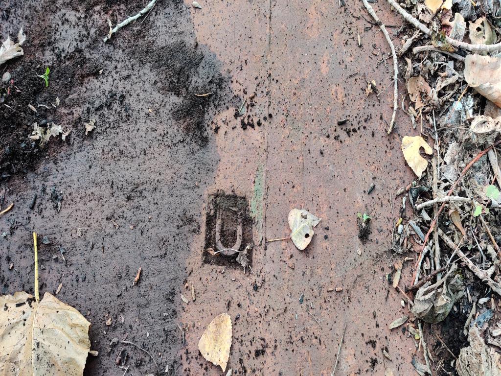 Gepflegte Holzbearbeitungsmaschinen, Absauganlagen und Handarbeitsgeräte einer Holzwerkstatt/ Hafen-9