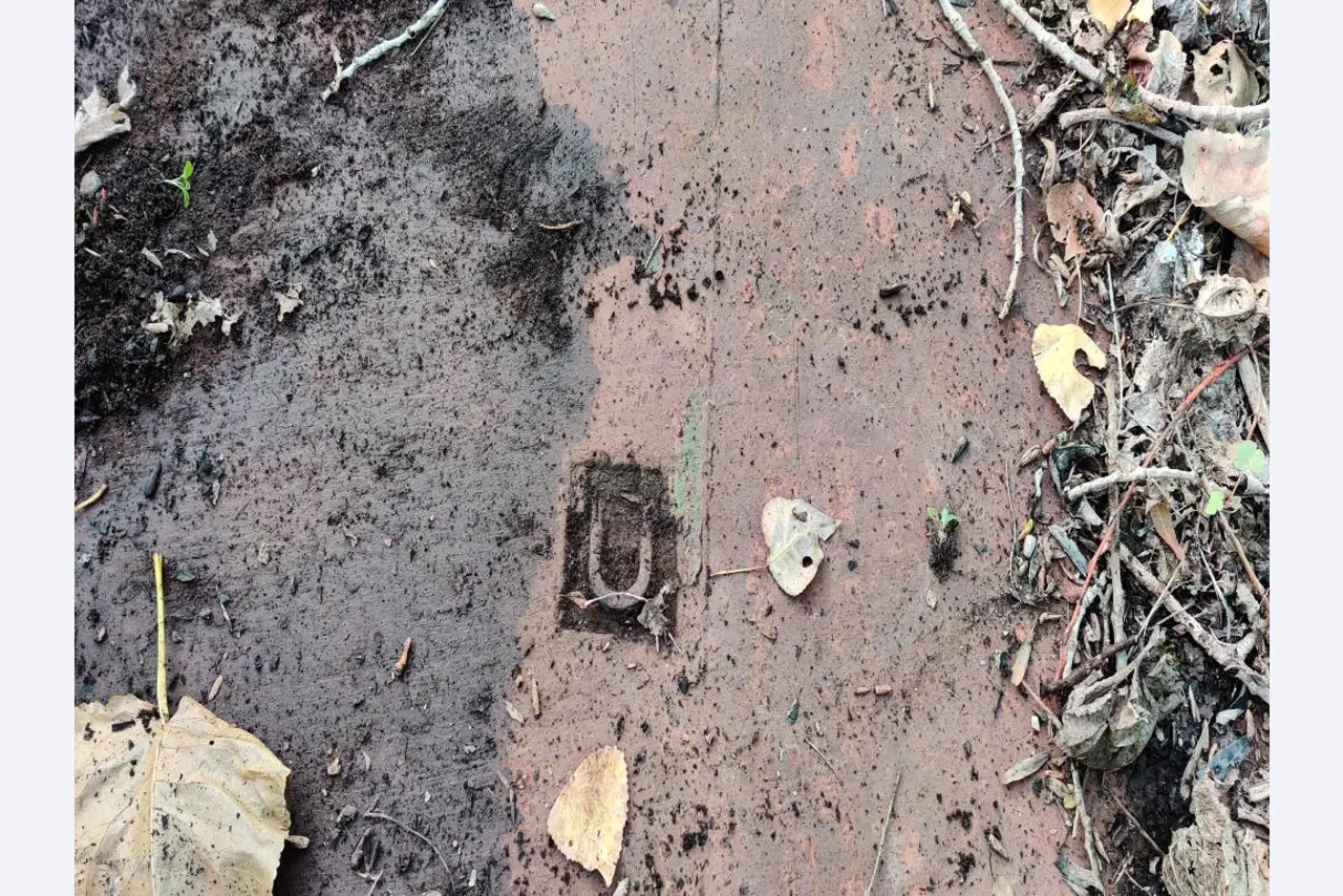 Máquinas para trabalhar madeira, sistemas de extração e ferramentas manuais em bom estado de conservação numa oficina de madeira/ porto-9