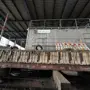 thumbnail-Industrial fixed assets from the port area and a work pontoon-14