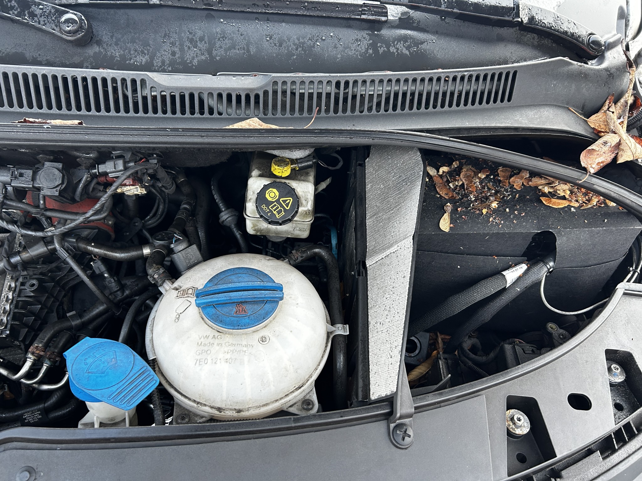 gepflegte Fahrzeuge aus dem Hafenumfeld-17