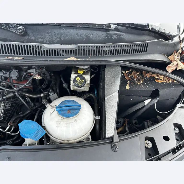 gepflegte Fahrzeuge aus dem Hafenumfeld-17