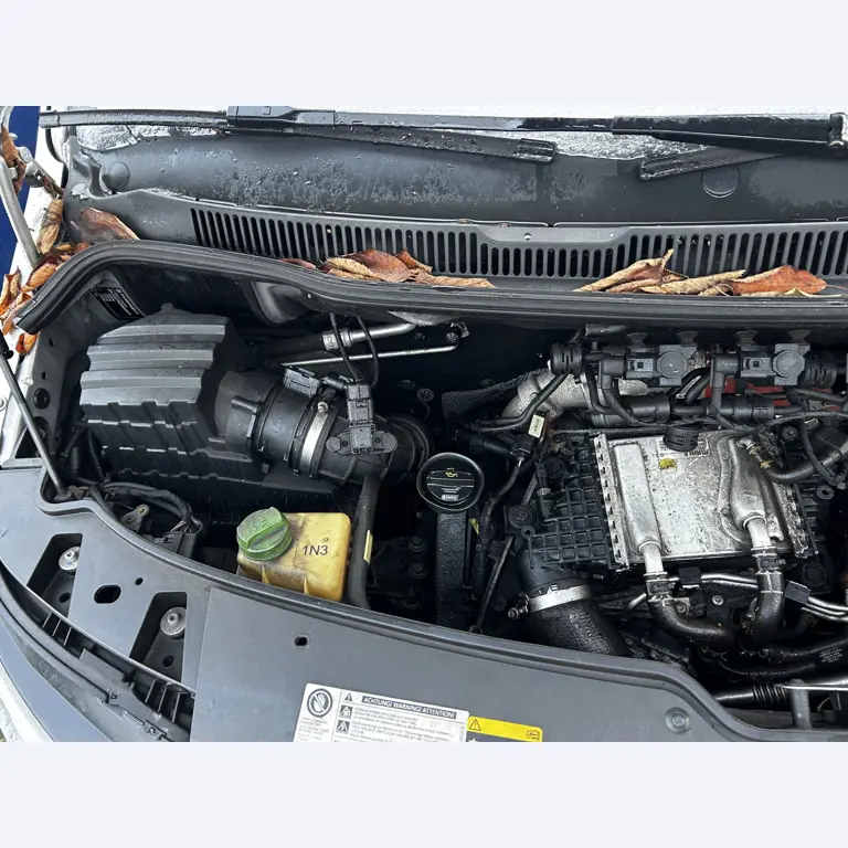 gepflegte Fahrzeuge aus dem Hafenumfeld-19