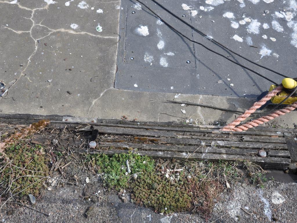 Obsługa sprzętu ze środowiska portowego/inżynieria hydrauliczna-4