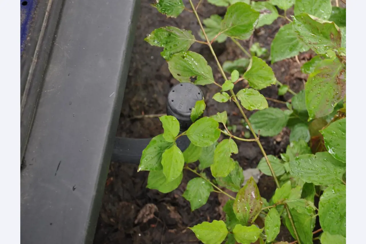 div. Kantineneinrichtung sowie Werkstattzubehör aus dem Hafenumfeld-10