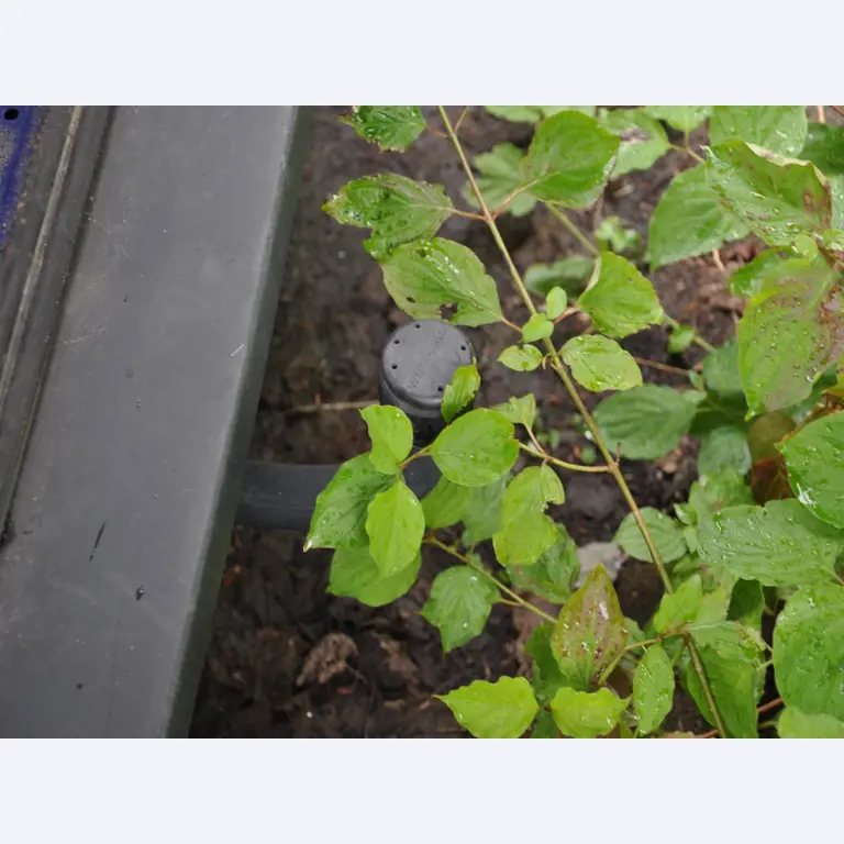 div. Kantineneinrichtung sowie Werkstattzubehör aus dem Hafenumfeld-10