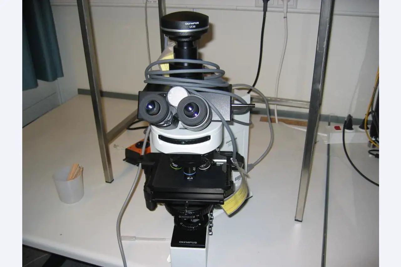 well-maintained laboratory equipment-2