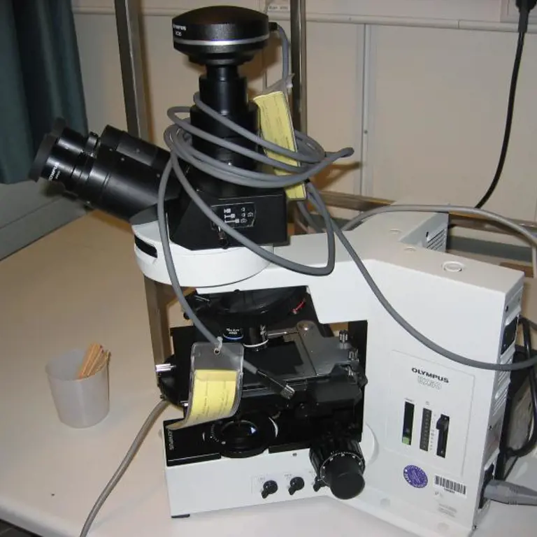 Microscopio Olympus BX 50 F3