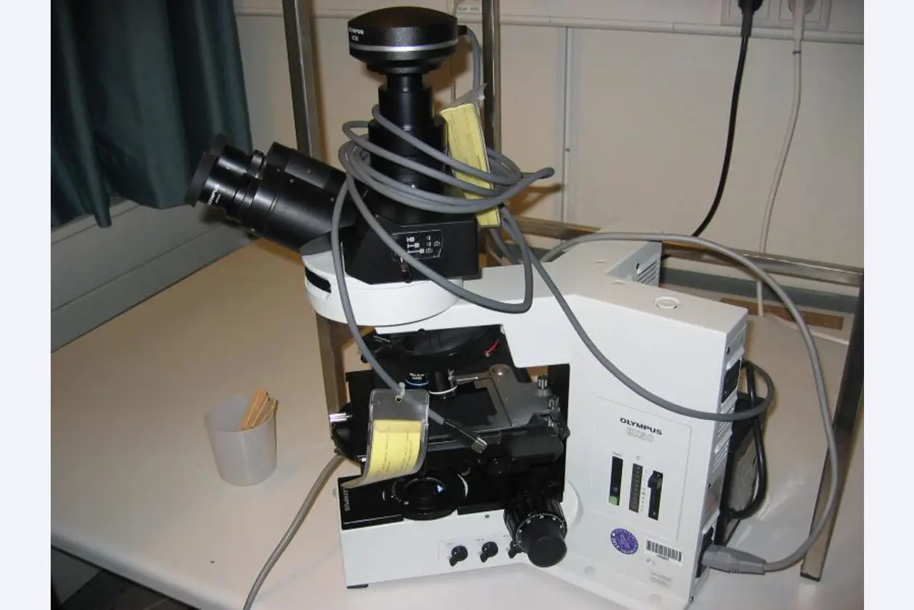 well-maintained laboratory equipment-1