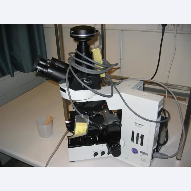 well-maintained laboratory equipment-1