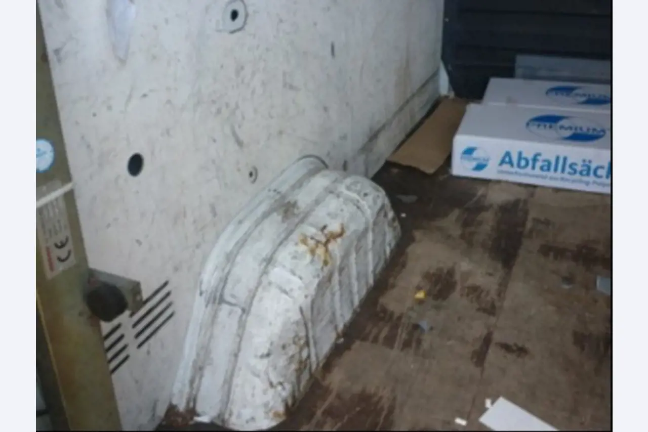 Gepflegte Ladewagen-12