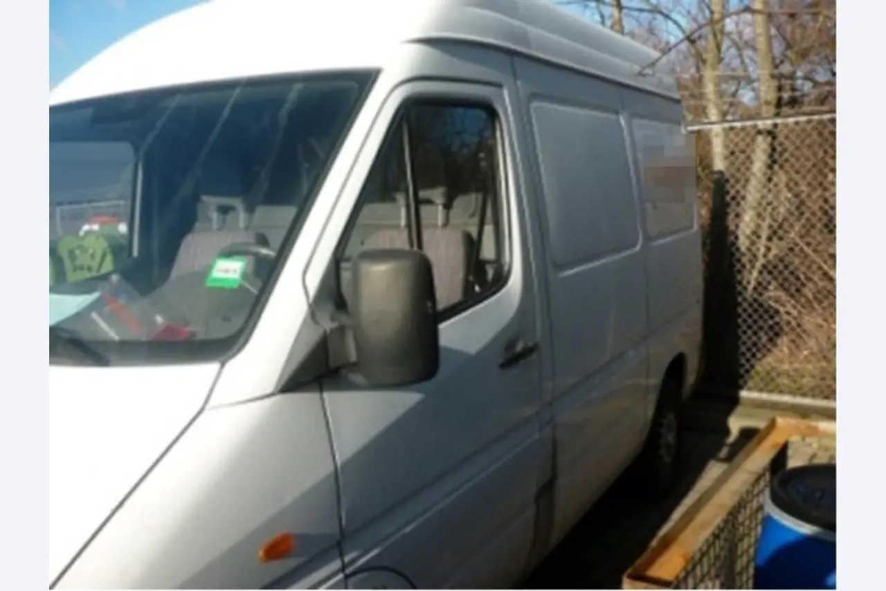 Gepflegte Ladewagen-6