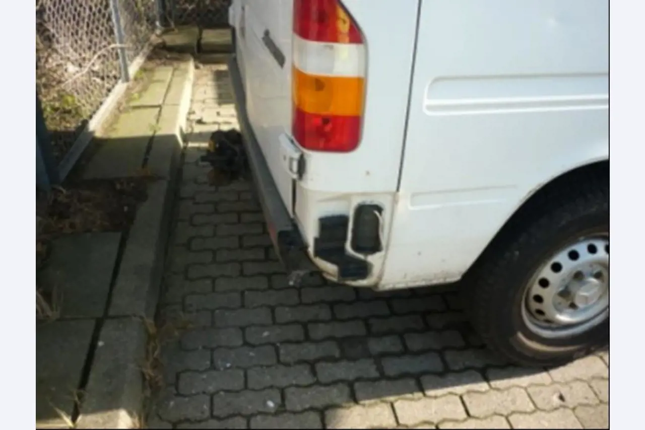 Gepflegte Ladewagen-8