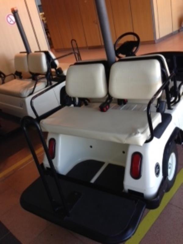 Gepflegte Ladewagen-2