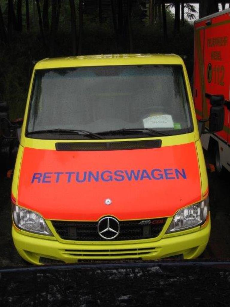 Gepflegte Ladewagen-14