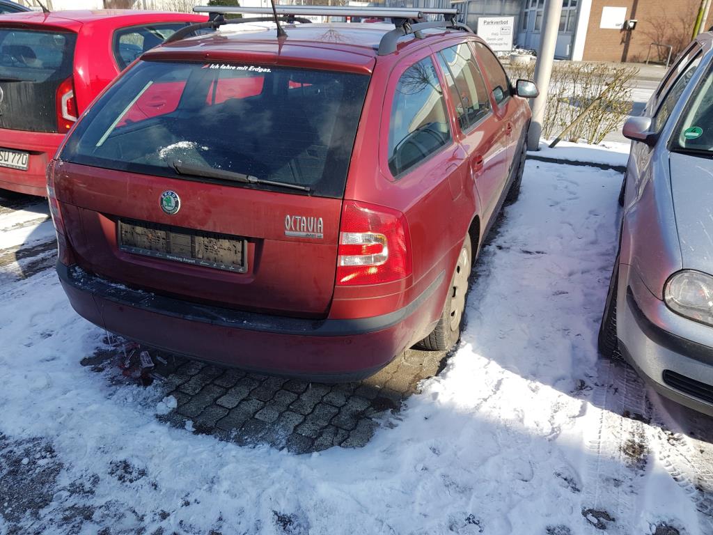 Gepflegte Ladewagen-3