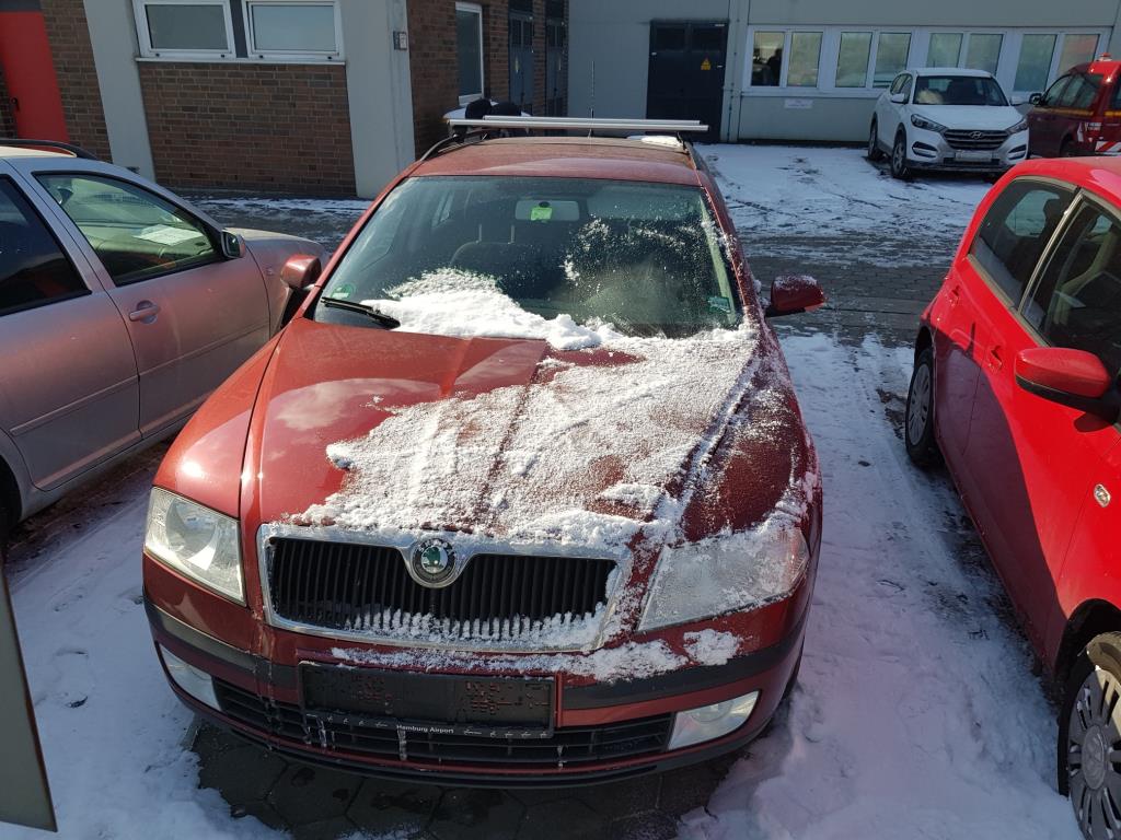 Gepflegte Ladewagen-1