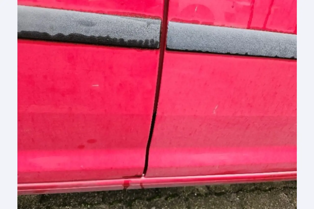 Vehículos cedidos por el aeropuerto de Hamburgo-15