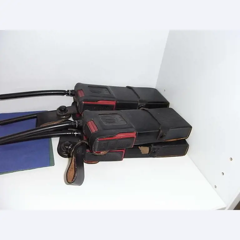 2 gepflegte Auflieger-1