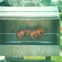 thumbnail-Schneider Feinkost & Partyservice GmbH und Zusatzauftrag-3
