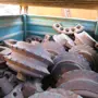 thumbnail-well-maintained construction machinery and equipment <br>as well as the tunneling technology-2