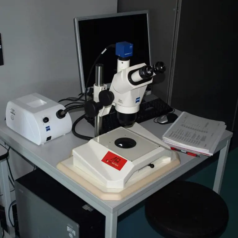 stereo microscope  Zeiss Stemi 2000-C