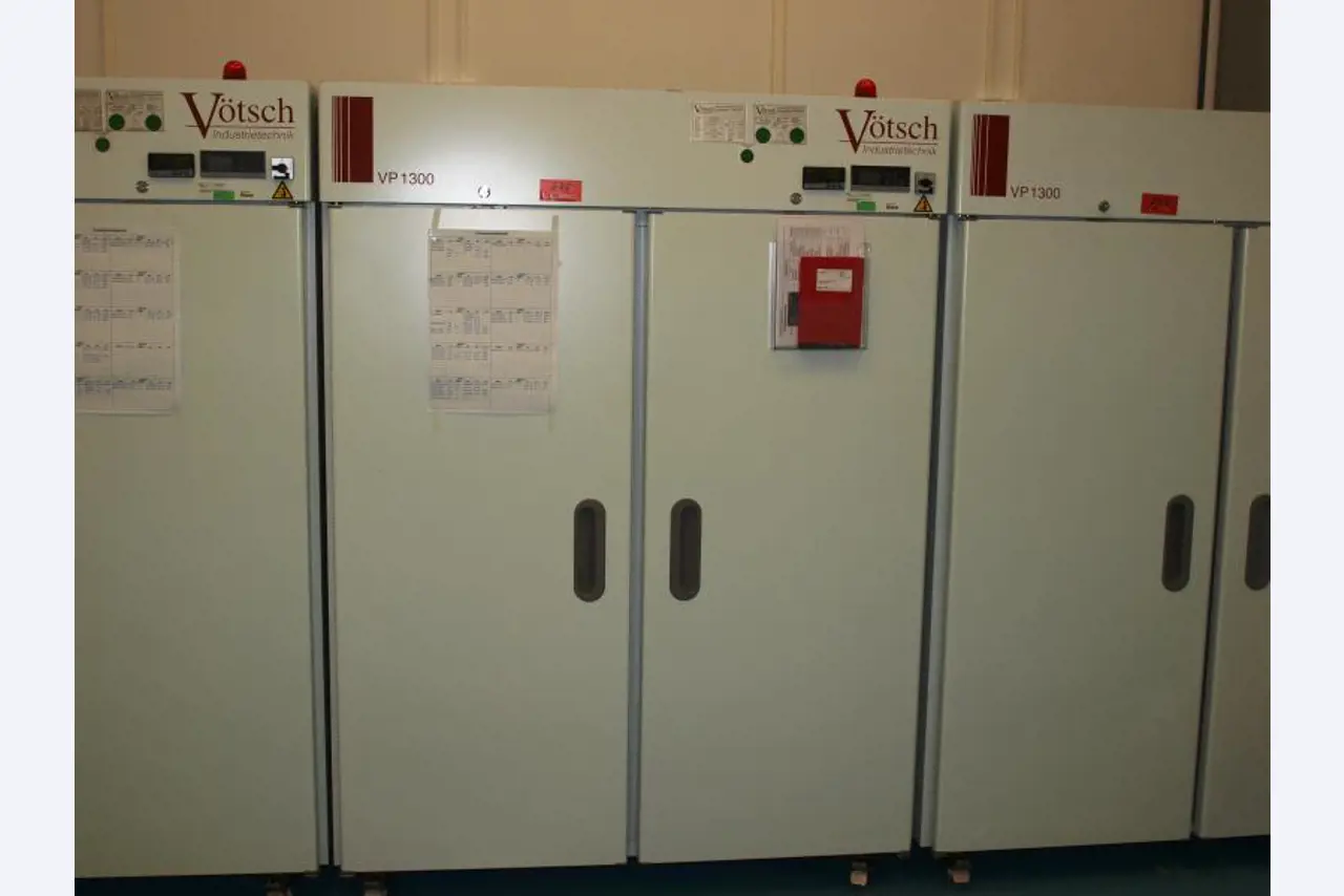 1 Posten Gemälde, Drucke und Radierung-1