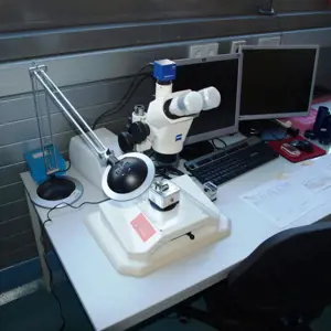 stereo microscope  Zeiss Stemi 2000-C