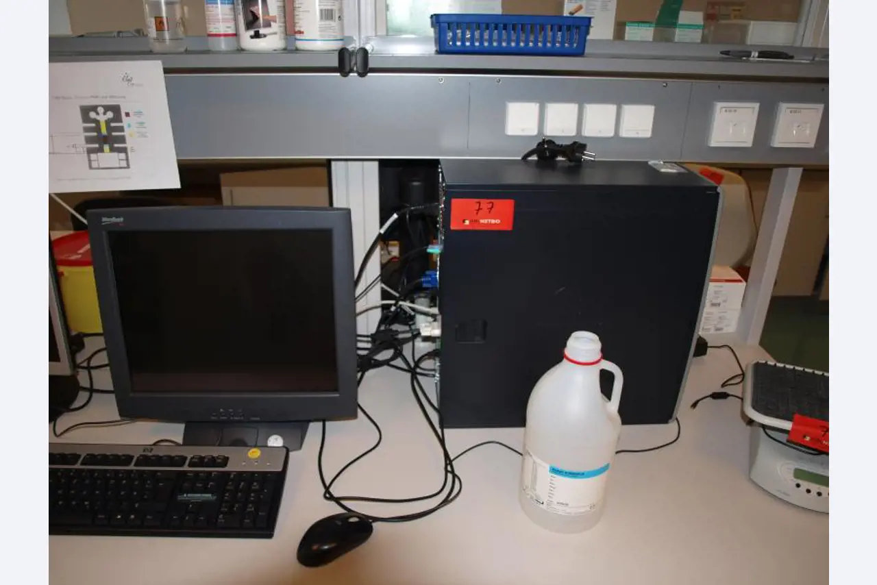 1 Posten Gemälde, Drucke und Radierung-1