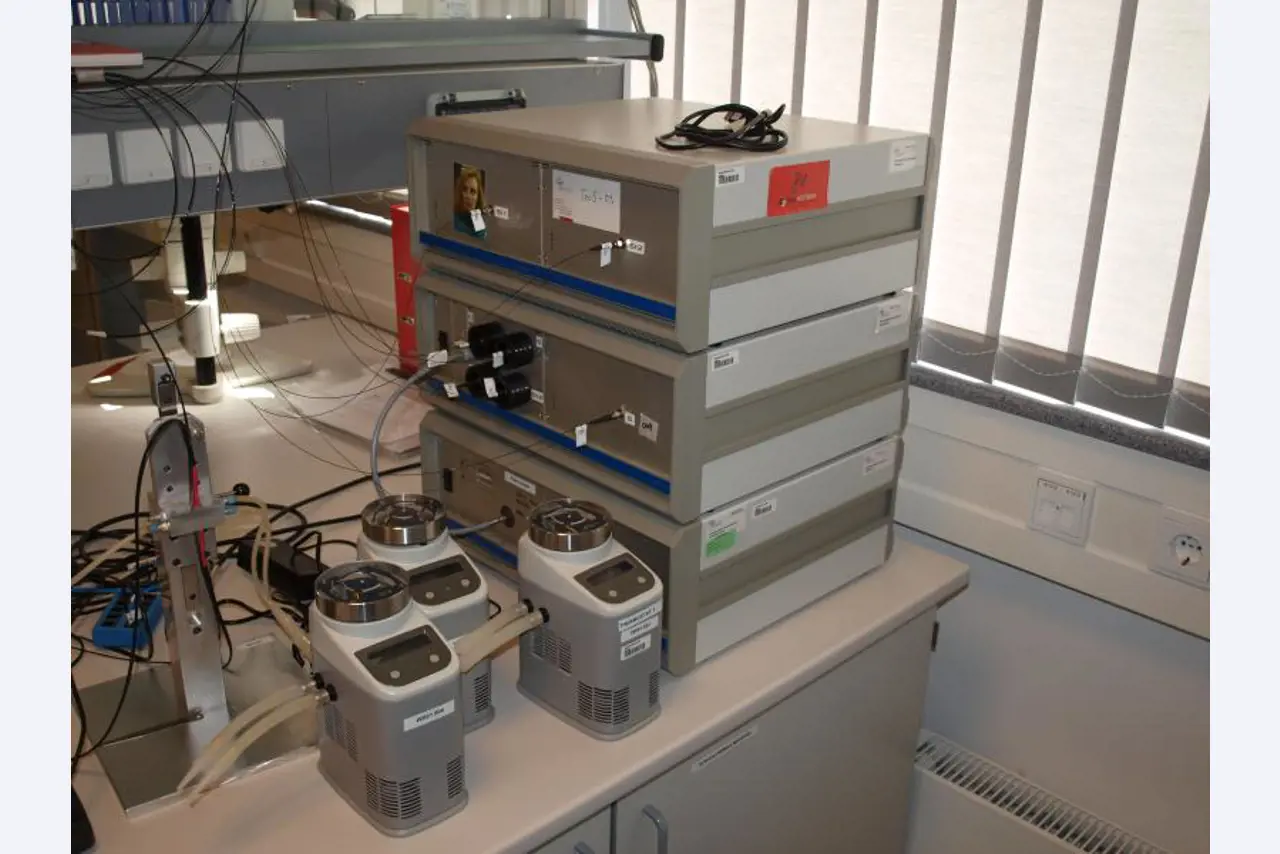 1 lot of paintings, prints and etching-1