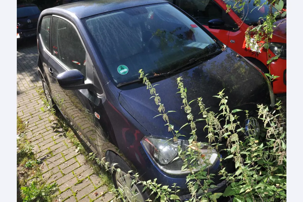 Equipamento de laboratório de alta qualidade para o abastecimento municipal de água-4
