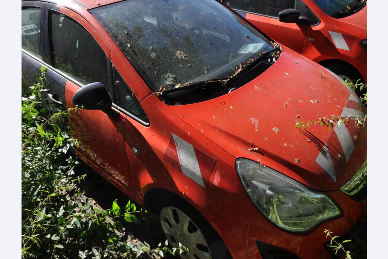 Equipamento de laboratório de alta qualidade para o abastecimento municipal de água-5