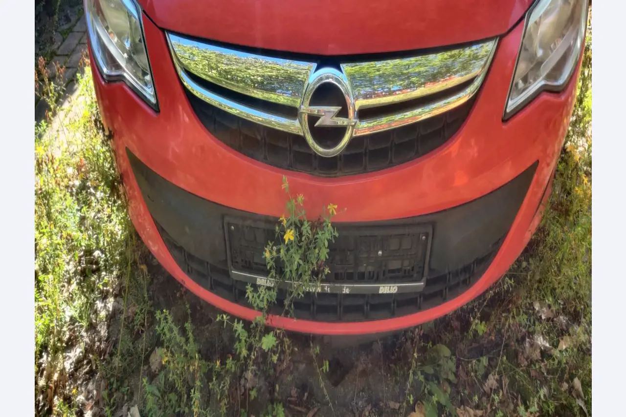 Equipamento de laboratório de alta qualidade para o abastecimento municipal de água-3