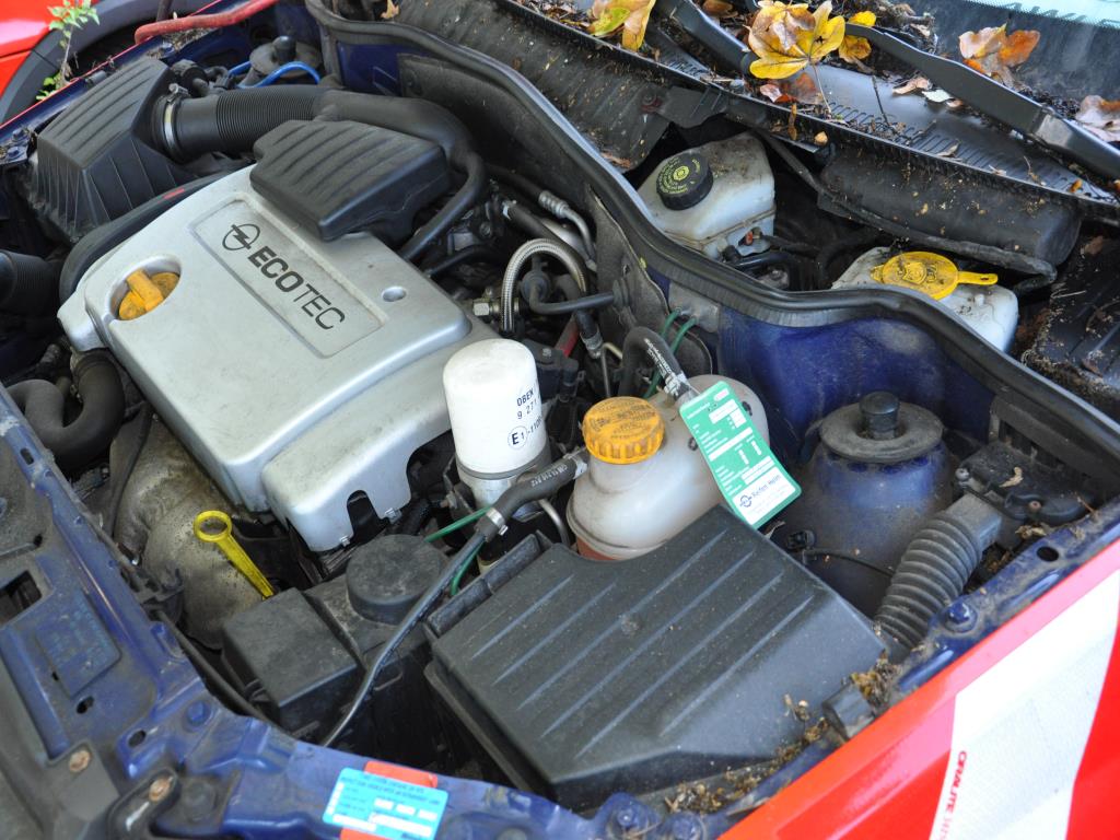 electrodomésticos/vehículos bien mantenidos-6