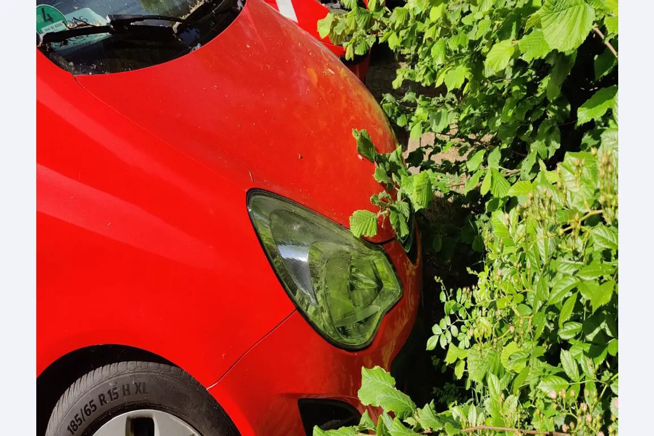 Equipamento de laboratório de alta qualidade para o abastecimento municipal de água-10