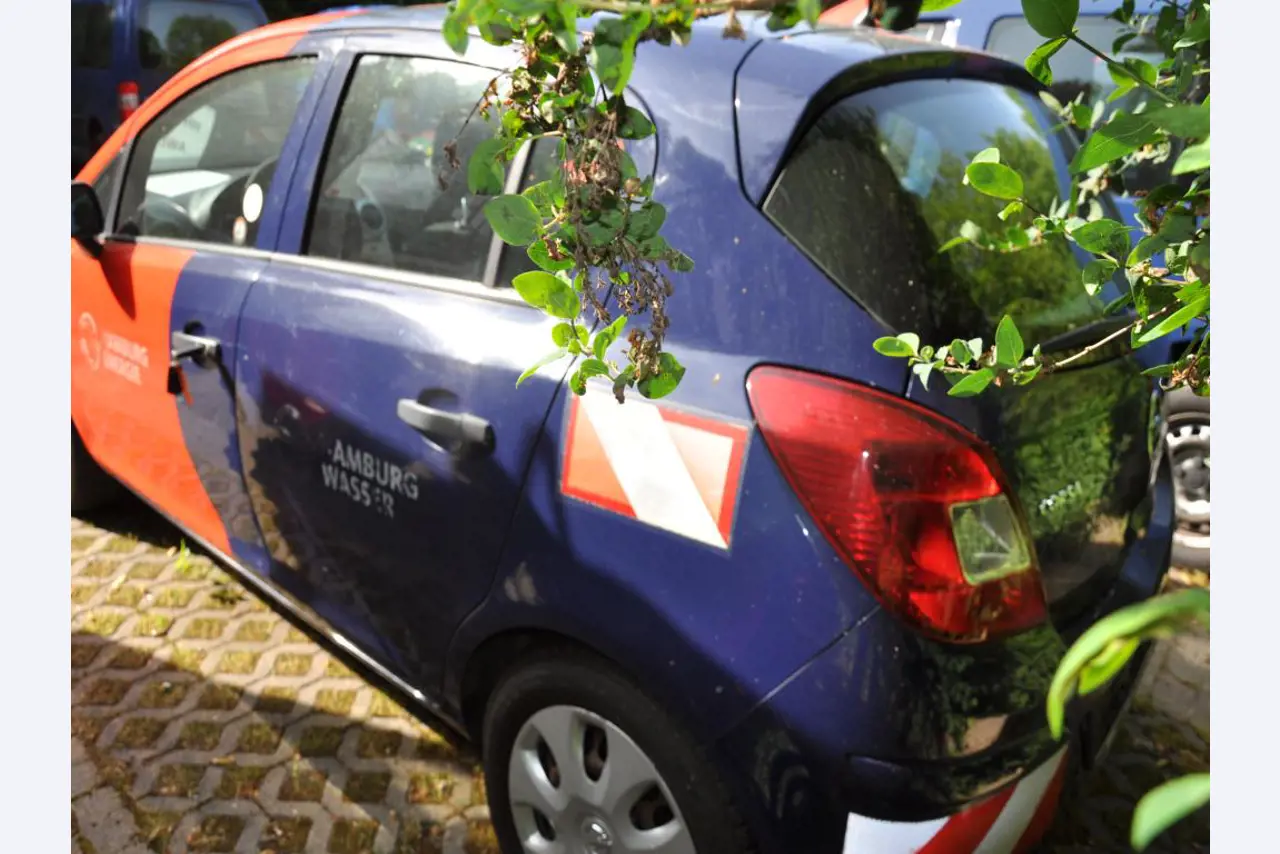 Equipamento de laboratório de alta qualidade para o abastecimento municipal de água-6